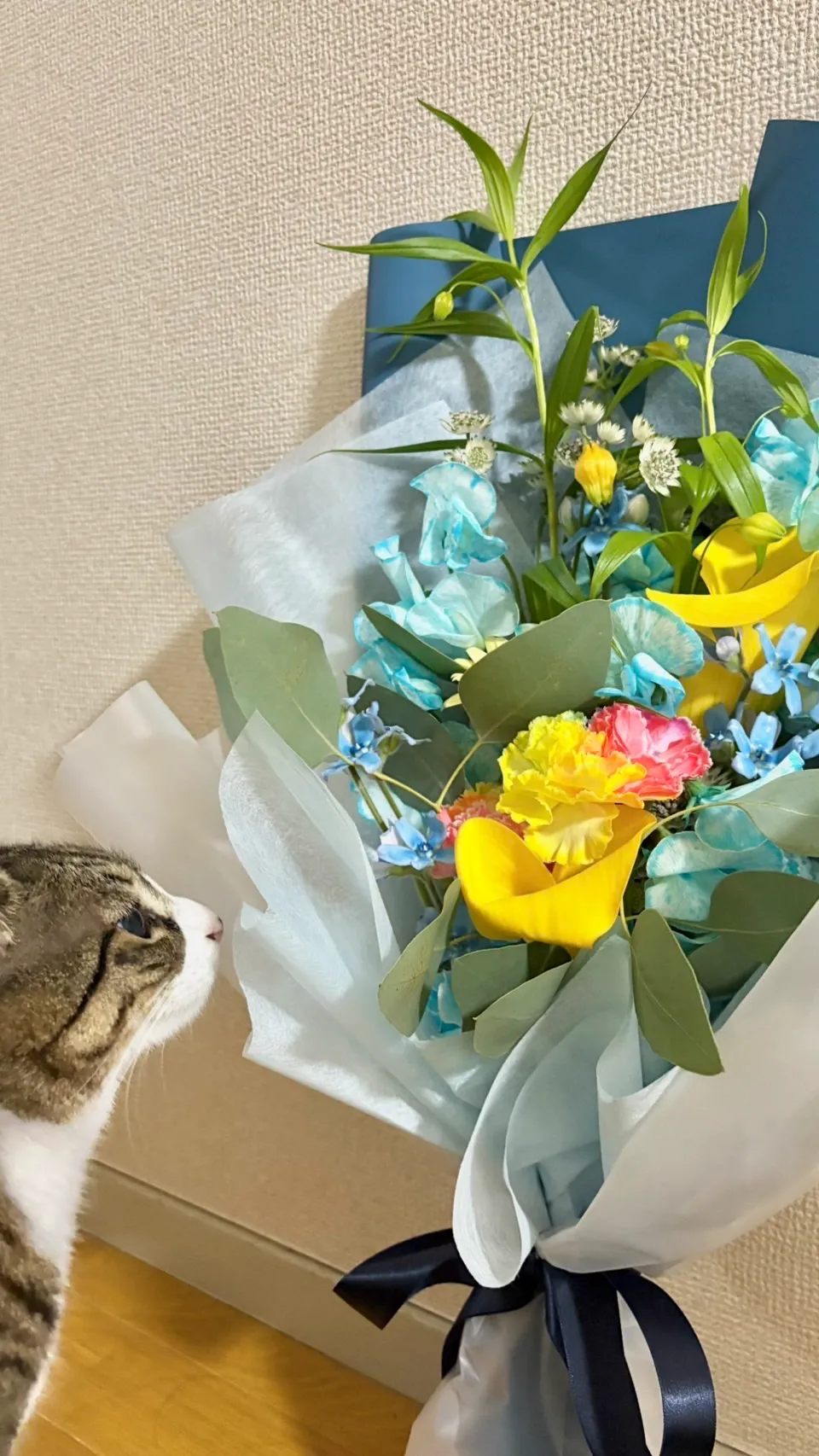 受賞作品 とってもかわいいで賞