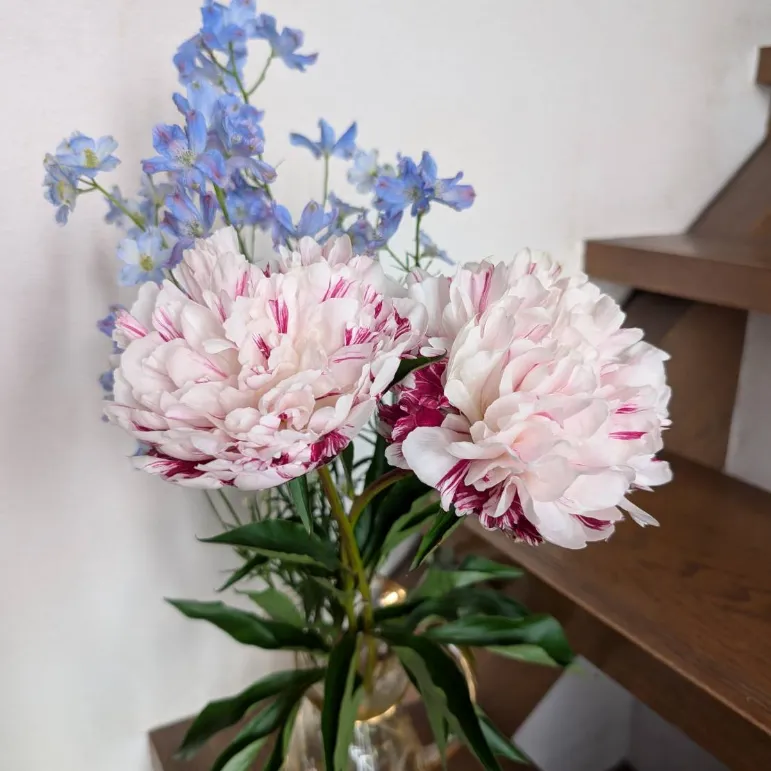受賞作品 丁寧な暮らしで賞