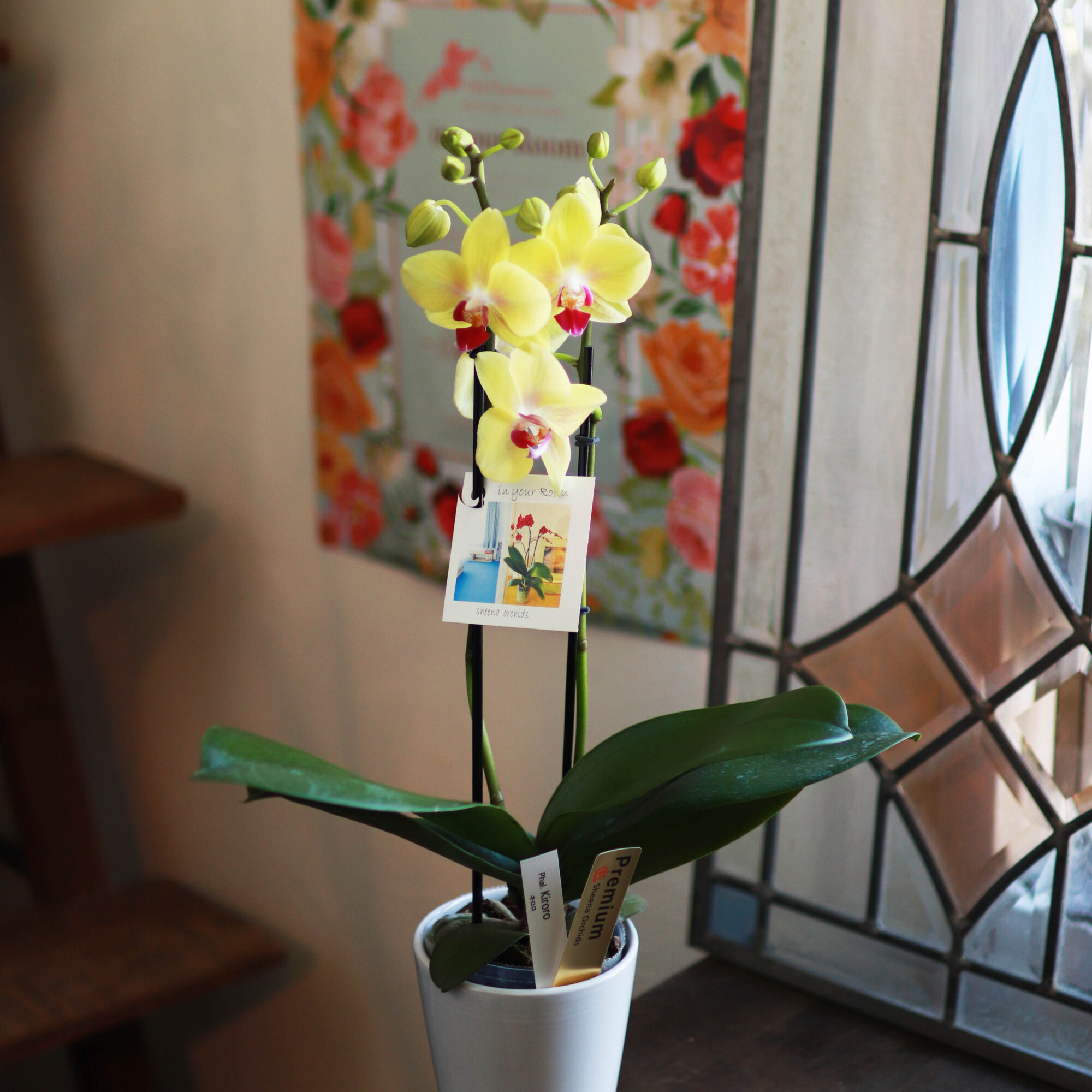 花たろう