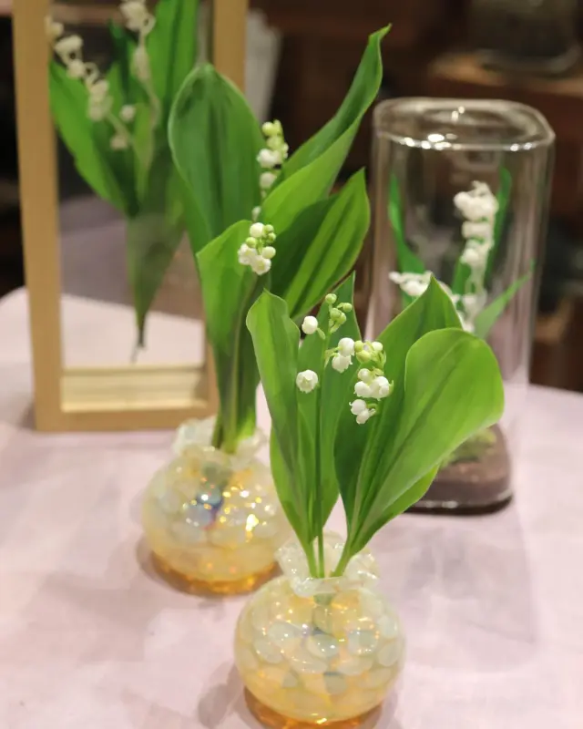 【スズランフェア】開催中！！

4/24（木）〜5/1（木）は【スズランフェア】！！

小さな白い釣り鐘状の花が可憐で、香りが良いことから人気が高いすずらん🌸
また、スズランの花言葉には「幸福の再来」「純粋」「純潔」などがあります！！
まるで幸せを呼ぶ白い鐘🔔のようですね🤍

スズランの切花をキッチンやリビングなどに"ちょこん"と飾ると、とても可愛いらしくて癒されます☺️
プリザーブドフラワーも2種類ご用意しております！！この季節のみ楽しめるスズランを一年中楽しめます♪

ぜひこの機会に"スズラン"を飾ってみませんか‧º·˚　

#すずらん 
#スズラン 
#花たろう 
#浦和花たろう 
#花 
#花屋 
#flower 
#flowershop 
#埼玉県 
#さいたま市桜区 
#栄和 
#さいたま市浦和区 
#浦和 
#浦和コルソ 
#花のある暮らし
#お花好きな人と繋がりたい