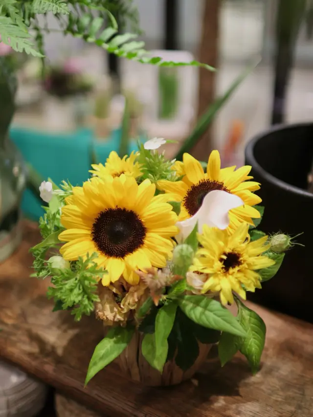 ひまわりの季節ですね☀️
明日7/18(金)〜21(月)【ひまわりフェア🌻】！！！

定番のひまわりから八重のひまわり、珍しい品種のひまわりを取り揃えてお待ちしております♪

#ひまわり 
#夏の花 
#オシャレ
#花たろう 
#浦和花たろう 
#花 
#花屋 
#flower 
#flowershop 
#埼玉県 
#さいたま市桜区 
#栄和 
#さいたま市浦和区 
#浦和 
#浦和コルソ 
#花のある暮らし
#お花好きな人と繋がりたい
#フラワーアレンジメント