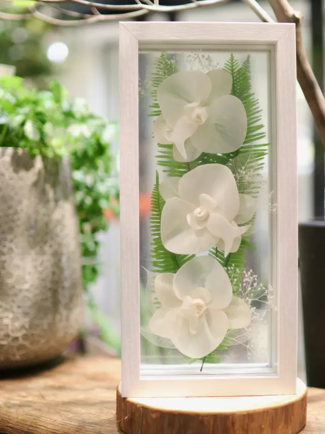 【優しい胡蝶蘭のプリザーブドフラワー】

お盆に贈るお花でおすすめのプリザーブドフラワー🌸
シンプルなデザインにすることで、より胡蝶蘭の美しさが際立ち、透明感に溢れていますね♪

お手入れが必要なく、長い間飾っていただける商品です！

#胡蝶蘭
#プリザーブドフラワー
#花たろう 
#浦和花たろう 
#花 
#花屋 
#flower 
#flowershop 
#埼玉県 
#さいたま市桜区 
#栄和 
#さいたま市浦和区 
#浦和 
#浦和コルソ 
#花のある暮らし
#お花好きな人と繋がりたい