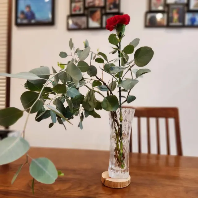 ユーカリがダイナミックで素敵です🌱
投稿ありがとうございます😊
#花たろうフォトコン