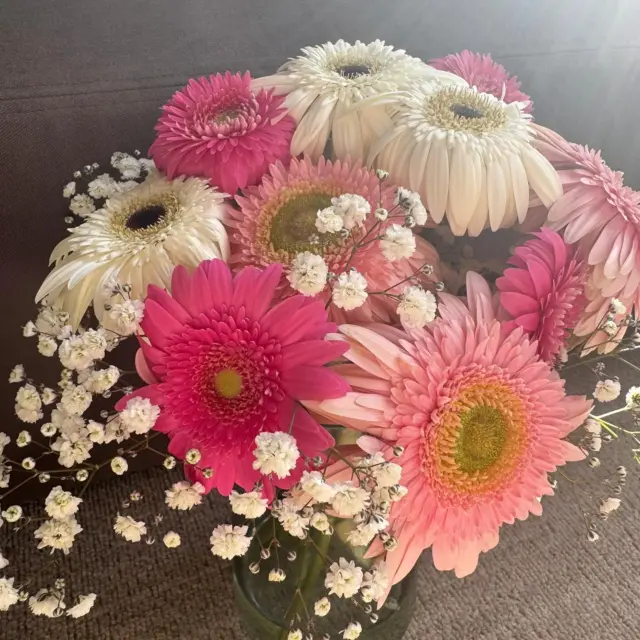 高校受験合格祝いにガーベラの花束のプレゼント💐
素敵なお写真ありがとうございます😊
#花たろうフォトコン 
#花たろう