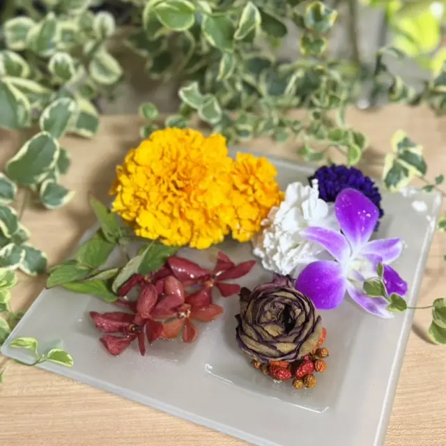 ガラスのお皿に鮮やかなお花が映えますね🌼
ご投稿ありがとうございました✨

#花たろうフォトコン 
#花たろう