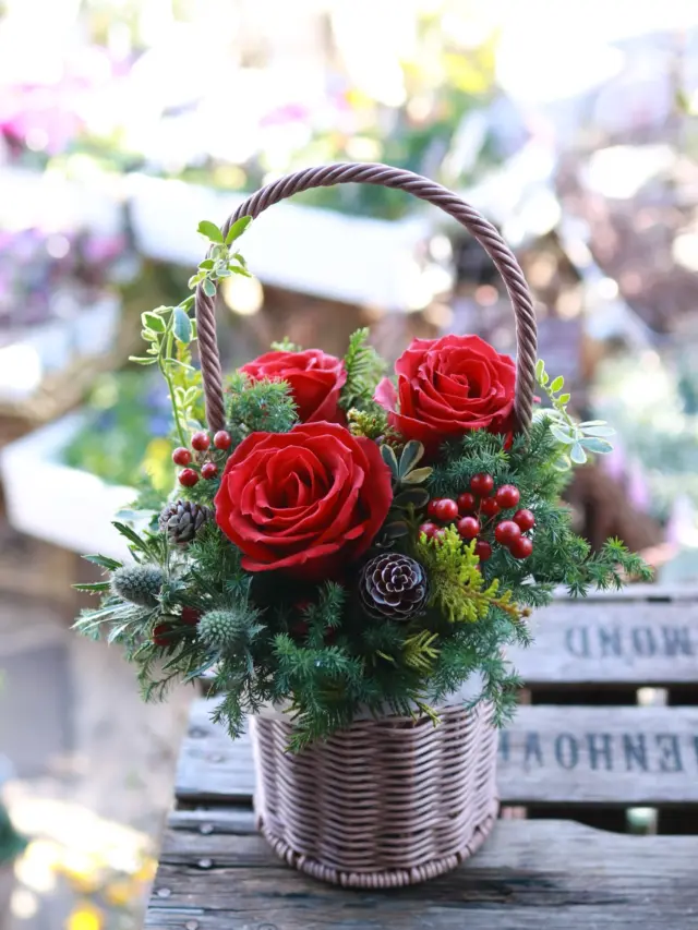 花で彩るChristmas🎄

定番の赤バラでクリスマスにぴったりなギフトはいかがですか‧º·˚　

#赤バラ
#christmas
#花たろう