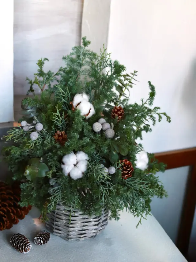 クリスマスツリーのアレンジメント🎄

#クリスマスツリー
#christmas
#花たろう