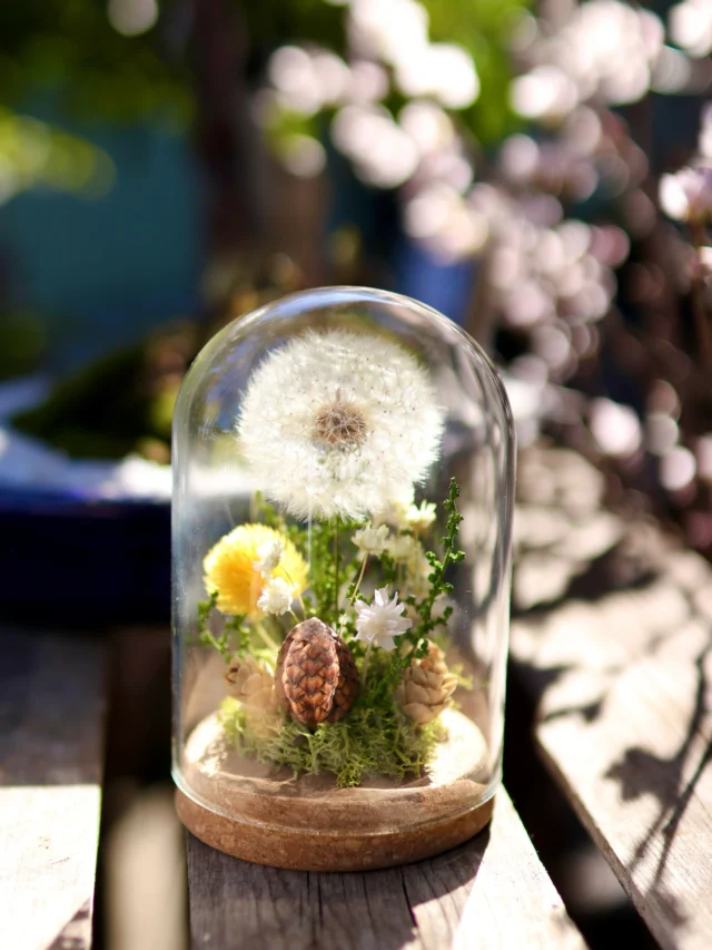 透明感溢れるたんぽぽのわたげ‧º·˚　
大人気の花たろうオリジナルプリザーブドフラワーです🌼

つい息をふーっ💨と吹きたくなるこちらのプリザーブドフラワーはギフトにもピッタリ✨
お部屋の中でも自然の優しさを感じられます🍃

#たんぽぽ
#春
#spring
#プリザーブドフラワー
#花たろう