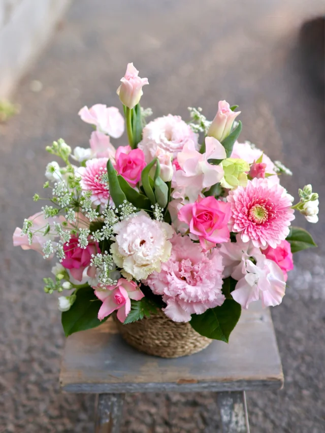 キュートなピンクのアレンジメント🌷

2月19日(木)〜3月4日(水)は【雨水の日】
二十四節気の一つで、雪が雨に変わり氷が解ける、春の訪れを感じる時期です🌸
古くから雛人形を飾る日として知られ、農耕を始める目安や、良縁を招く縁起の良い日とされています♪

ぜひ春のお花も一緒に飾ってみてはいかがですか🥰

#雨水の日
#ひな祭り
#春の花
#フラワーアレンジメント
#花たろう