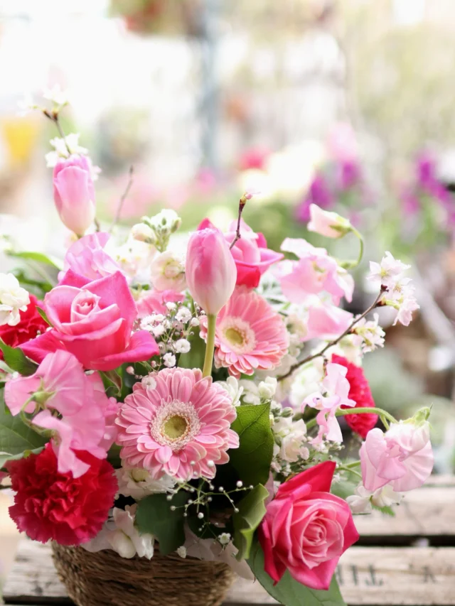 保育園、幼稚園の卒園式でご注文をいただきました😆
春らしく、可愛らしくお作りしました🌸

#卒園式
#フラワーアレンジメント
#春
#花たろう
#浦和花たろう