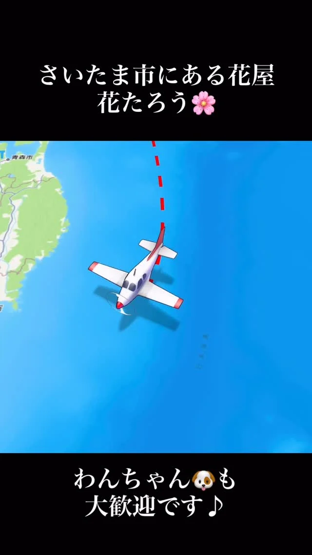 こんにちは！
さいたま市にある花屋の花たろうです🌸

花たろうはワンちゃん🐶と一緒にご来店していただけます♪
お散歩の途中に少し立ち寄ってお花に癒されませんか🌷

今回は【いかすみ君、グレース君、かりんちゃん】に撮影協力していただきました✨
ご家族の皆様もご協力ありがとうございました！！

#犬
#花屋
#flowershop
#花たろう
#浦和花たろう