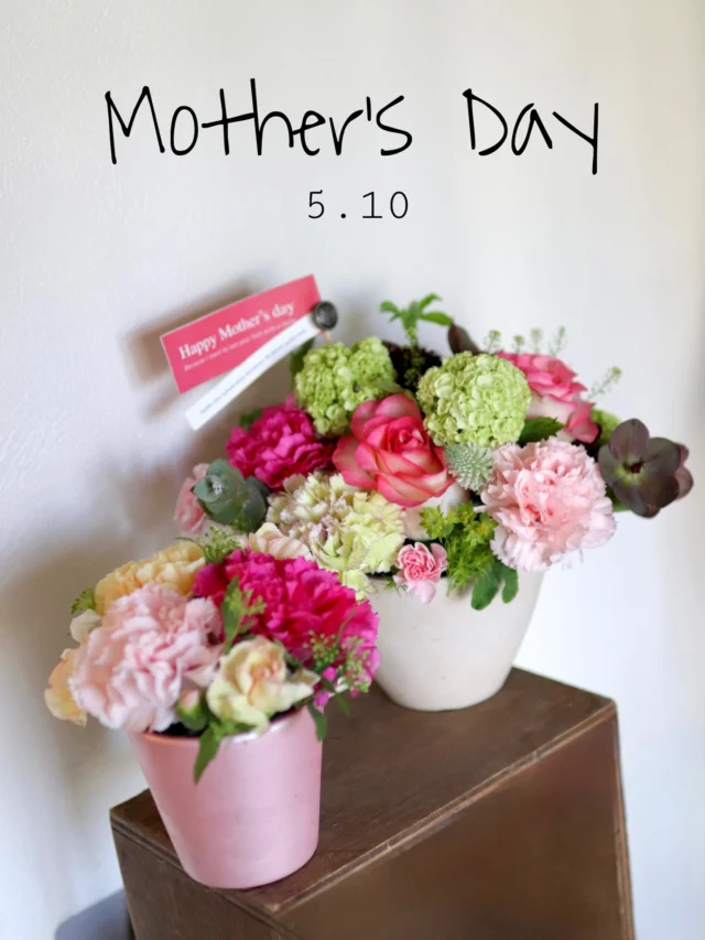 【2026.05.10 Mother's Day】
母の日のご予約受付中！！

今年も大切な"お母さん"へ感謝の気持ちを込めて、お花を贈りませんか.｡.:*

※母の日付近は混雑が予想されますので、事前のご予約をおすすめしております。
ご予約のお客様を優先してご案内させていただきます🙇‍♀️

#母の日
#mothersday 
#flowers 
#フラワーアレンジメント 
#花たろう