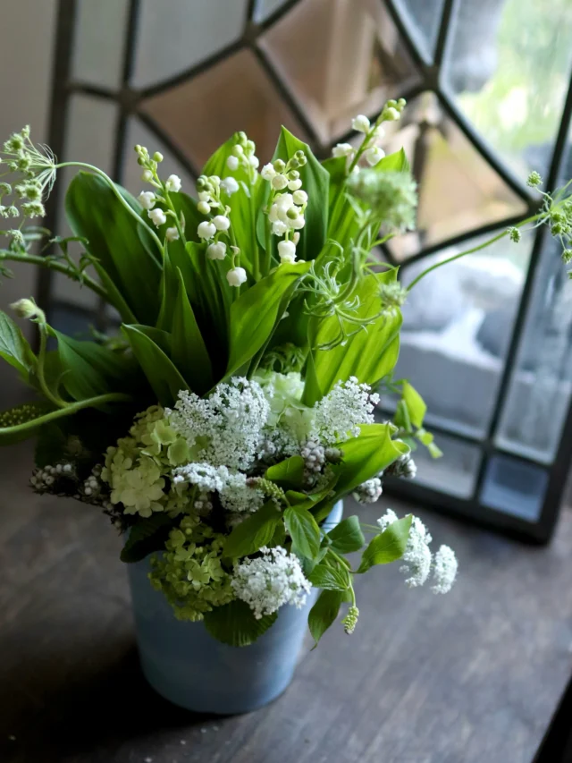 5月1日はフランス発祥の【スズランの日】

愛する人や親しい人に、感謝と「幸せが訪れますように」という願いを込めてスズランを贈る日です♪

そんなスズランを使ったナチュラルなアレンジメント🌿
見ているだけで癒されますね.｡.:*♡　

#スズラン
#lilyofthevalley 
#フラワーアレンジメント
#花たろう
#浦和花たろう