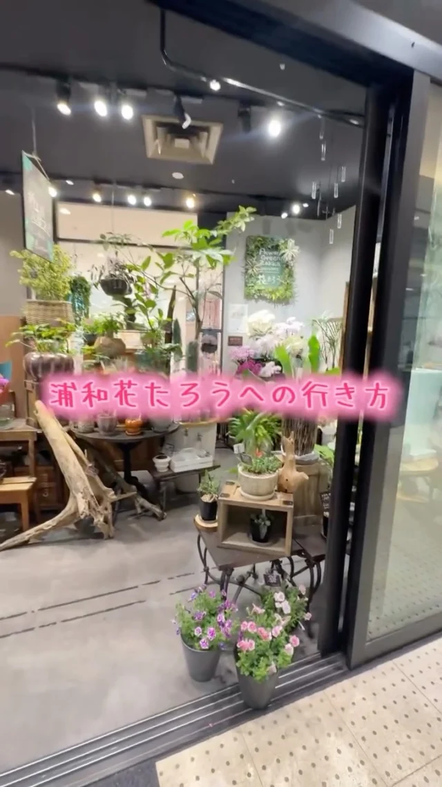 【浦和駅】から【浦和花たろう】への行き方です♪

母の日のご予約も受け付けておりますので、ぜひお越し下さい🌸

#浦和花たろう
#埼玉県 
#さいたま市
#花屋
#母の日
