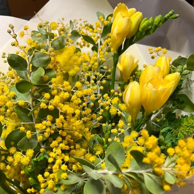 ミモザとフリージアの花束💐
春らしくて素敵です💛
ご投稿ありがとうございます😊
#花たろうフォトコン