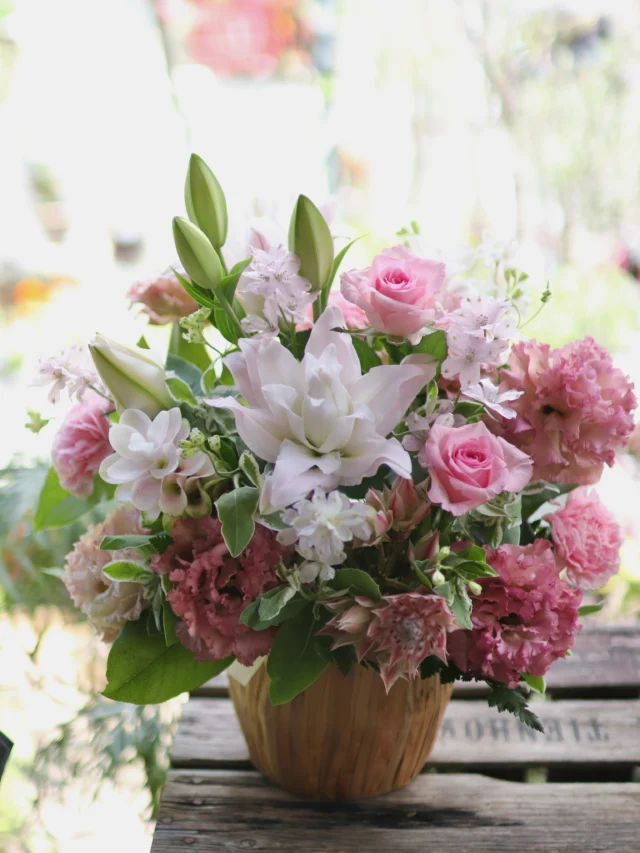 やわらかな光に包まれた、優しい色合いのフラワーアレンジメント🌿

淡いピンクと白のお花を中心に、暑い夏にも涼やかさを感じられるような、ふんわりとした雰囲気に仕上げました💐

#フラワーアレンジメント
#flowers 
#花屋
#花たろう
#浦和花たろう